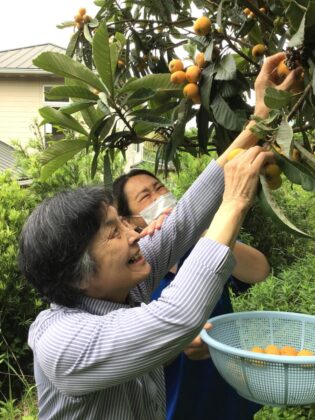 「この枇杷良さそうね」